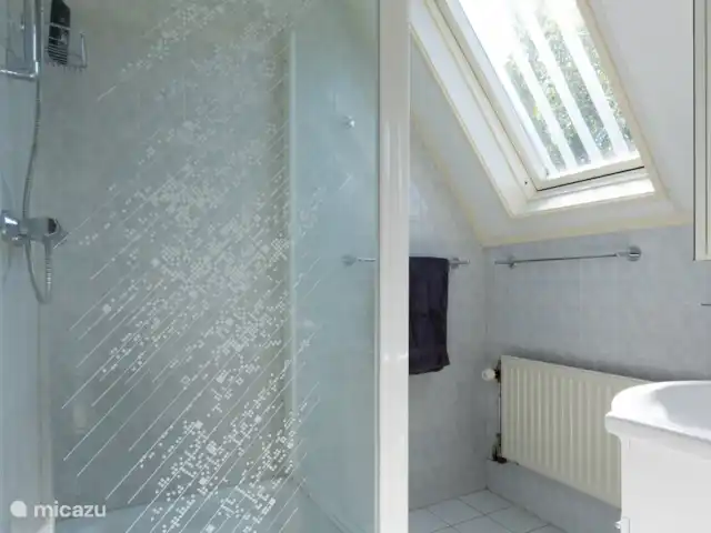 Badkamer boven met douche en wastafel